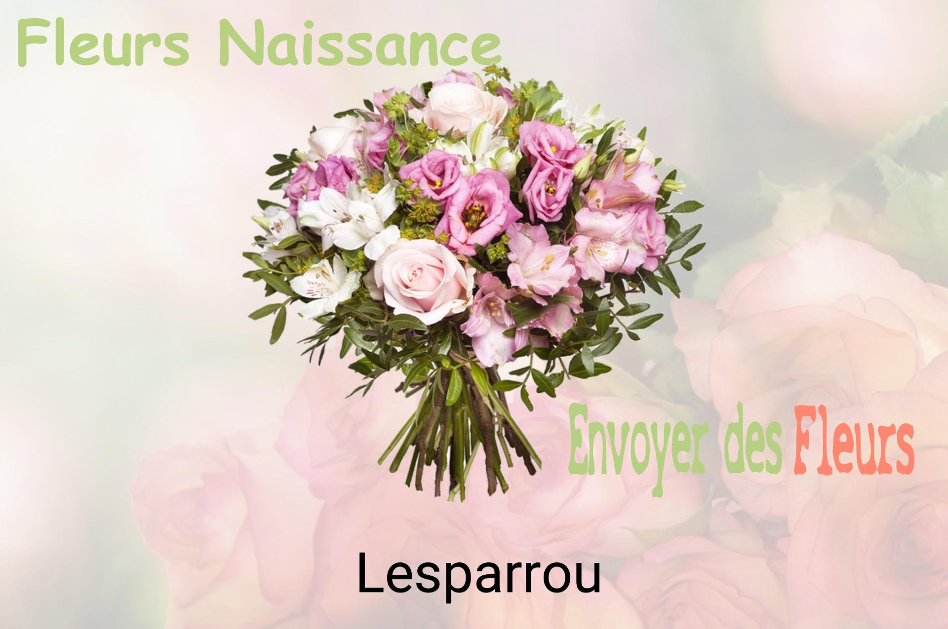 Bouquet de fleurs de naissance livré à Lesparrou