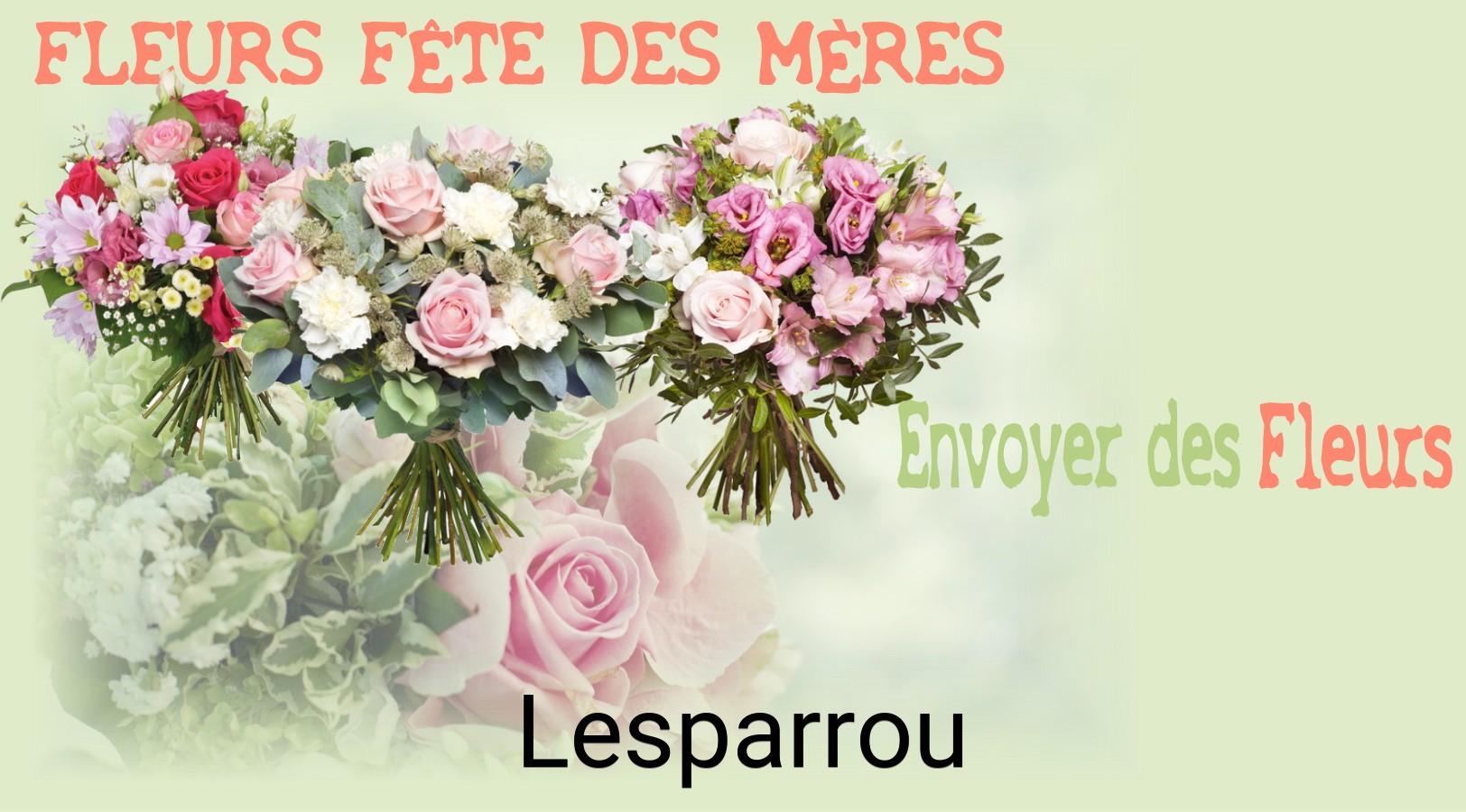 Bouquet de Fête des Mères livré à Lesparrou
